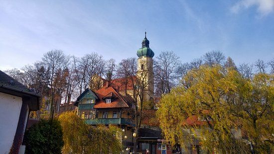 Kościół Wniebowzięcia Najświętszej Maryi Panny