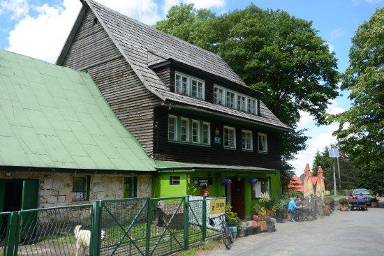 Schronisko Jagodna